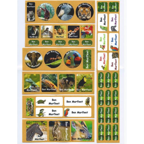 Jungle Animals Stick On Name Labels - Treefrog Namelabels